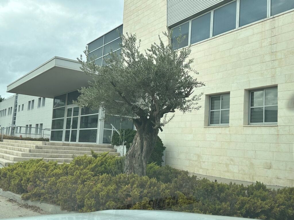 מבנה תעשיה, לוגיסטיקה ומשרדים להשכרה בפארק צרעה
